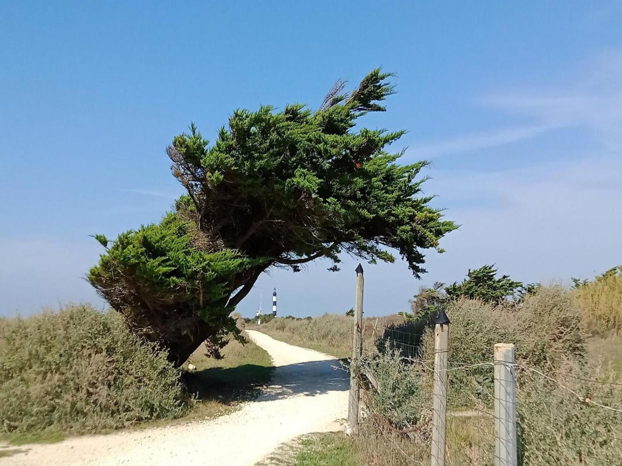 Les Hameaux Des Sables Vignie Saint Georges D Ol Ron Holiday Home Not Detached 外观 照片