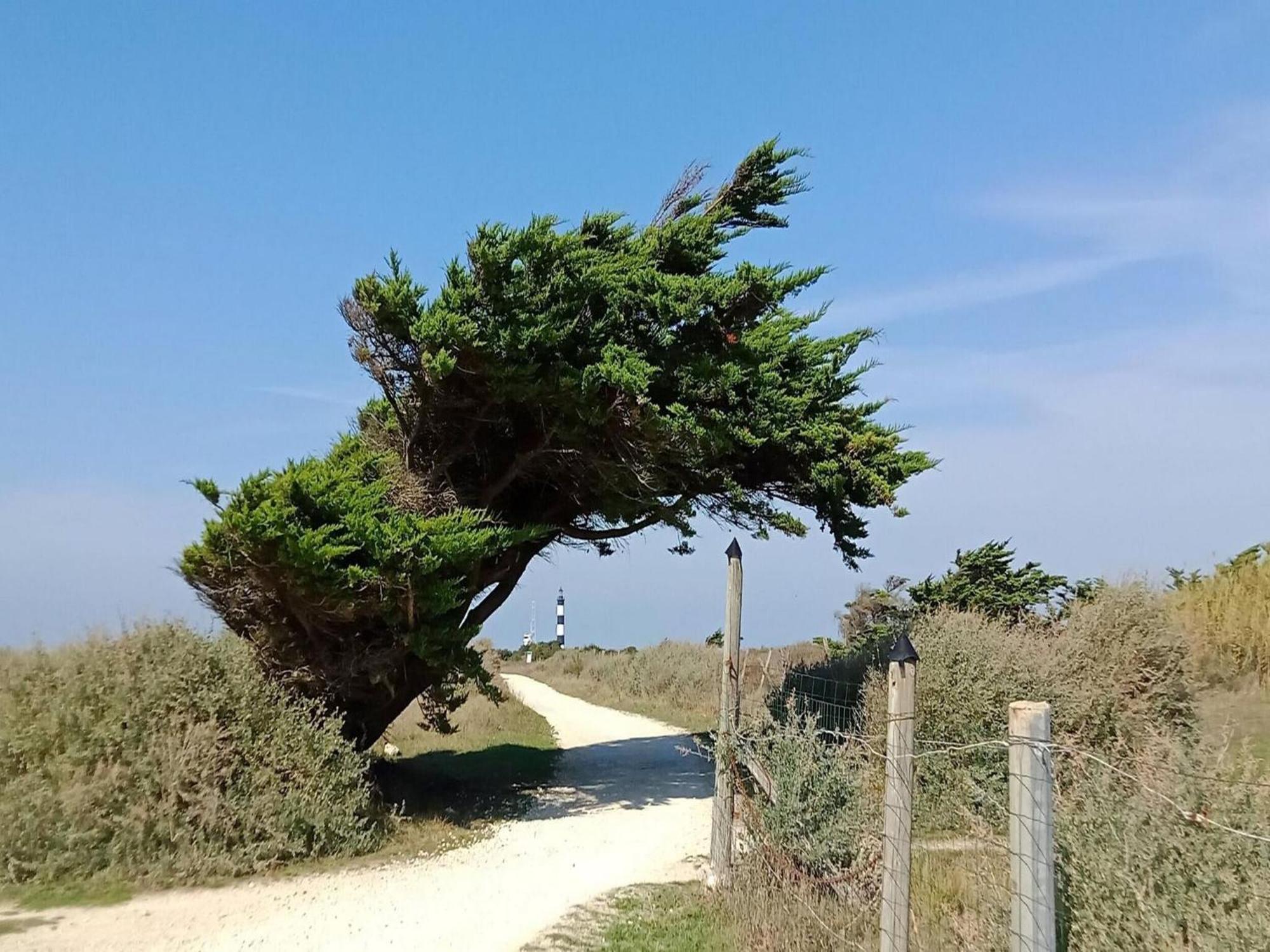 Les Hameaux Des Sables Vignie Saint Georges D Ol Ron Holiday Home Not Detached 外观 照片