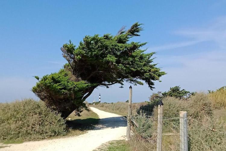Les Hameaux Des Sables Vignie Saint Georges D Ol Ron Holiday Home Not Detached 外观 照片